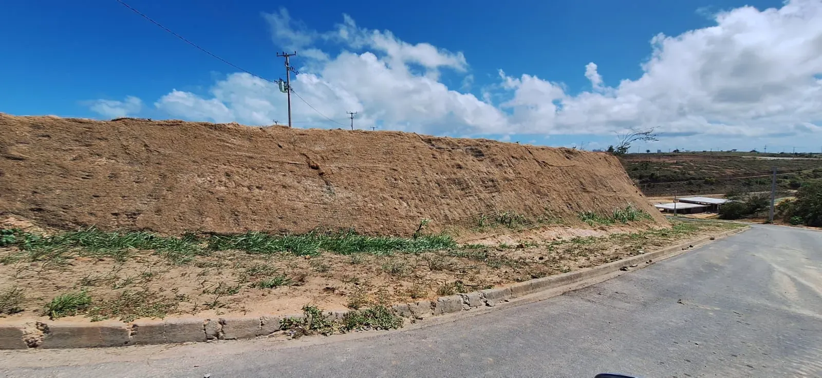 Biomanta aplicada no talude à beira da via, com a grama já nascendo no pé.