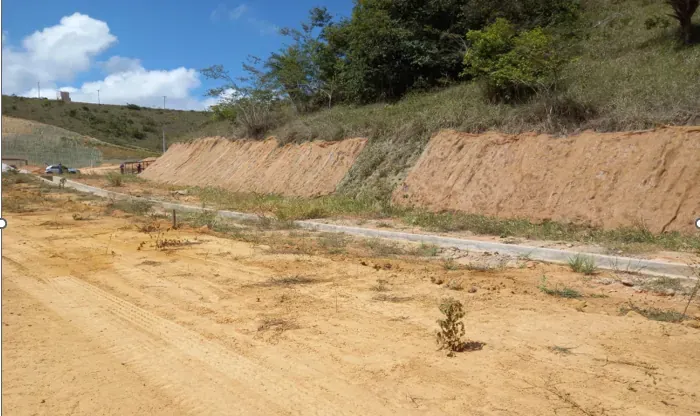Dois trechos de talude recobertos com biomanta, atrás do meio-fio.